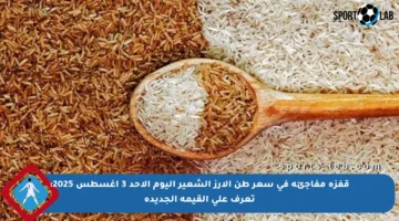 قفزة مفاجئة في سعر طن الأرز الشعير اليوم الأحد 3 أغسطس 2025: تعرف على القيمة الجديدة